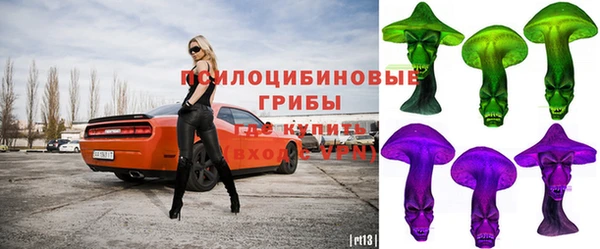 альфа пвп Алексеевка