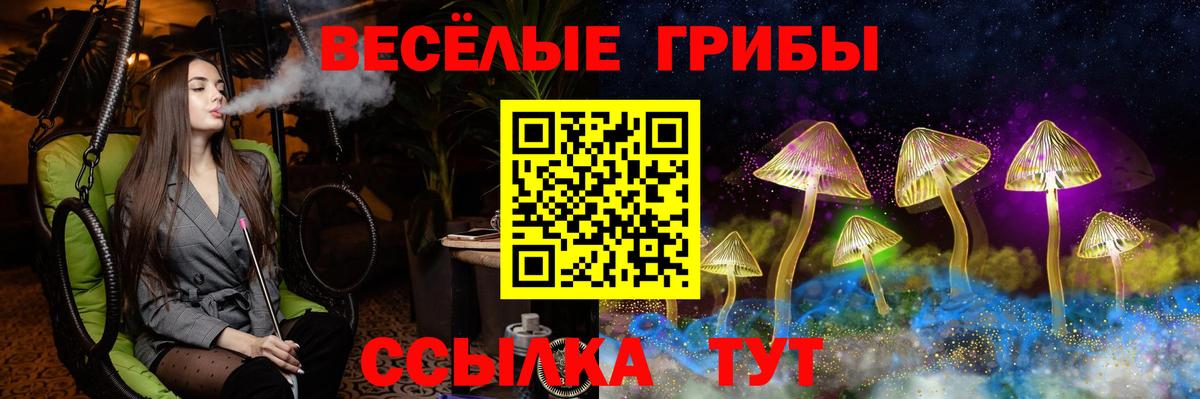 Отрадное  Псилоцибиновые грибы мухоморы  Вход с VPN 