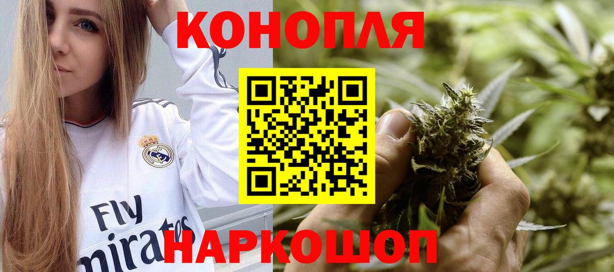 Шишки марихуана план Отрадное